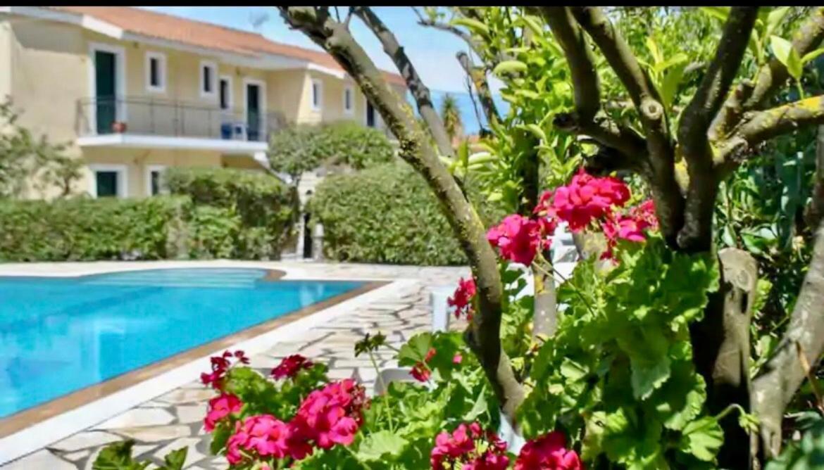 Lemon Tree Apartments A D Argostolion Exterior foto
